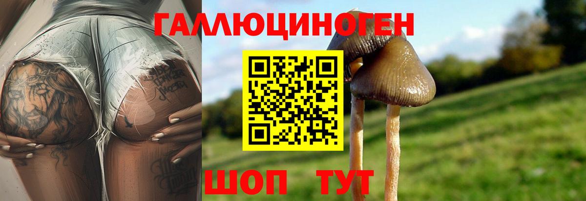 Галлюциногенные грибы ЛСД Кимры